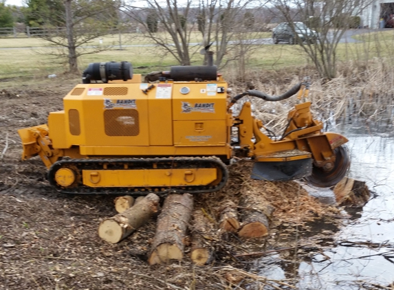 A.B.E. Stump Grinding - Swanton, OH