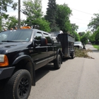 Lakes Forestry Tree Service