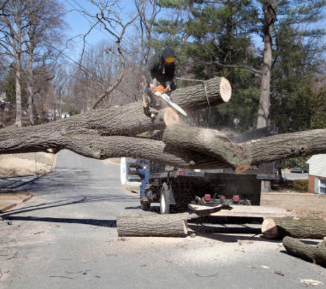 Akins Tree Care - West Lafayette, IN