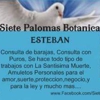 Siete Palomas Botanica gallery