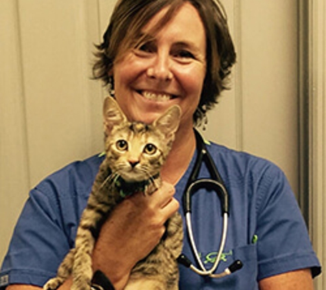 Long Point Animal Hospital - Mount Pleasant, SC