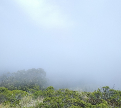 San Bruno Mountain State Park - Brisbane, CA