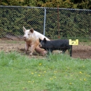 The Robinson's Funny Farm - Farms