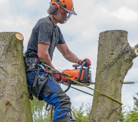 3 Brothers Tree Service - Elsmere, DE