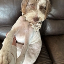 Laura Lee's Dog Grooming - Pet Grooming