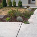 ALM Landscape & Construction LLC - Deck Builders