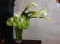 Fancy Flowers Online - Florists