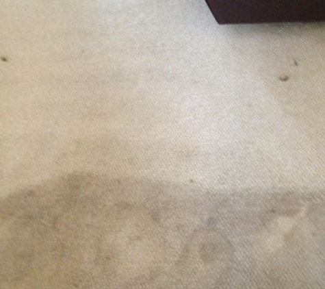 Speed Clean Carpet & Tile Cleaning - Rockledge, FL