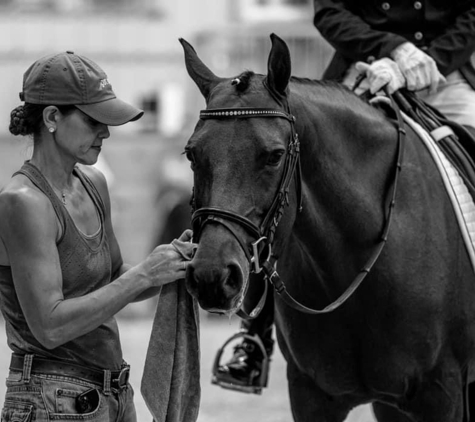 World Equestrian Center - Wilmington, OH