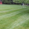 The final cutt Lawncare & property maintenance gallery