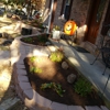 dooley's lawn care and landscaping gallery