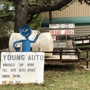 Young's Auto & Tint