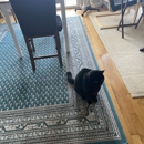 Pet Care Services