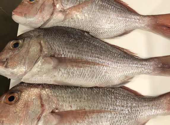 Casula Fish Market Pty Ltd - Casula, NSW. Best snapper ever!