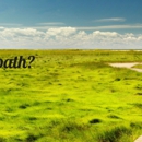 D.S.I. Business & Life Coaching