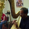 Harpist, Nicholas Mynyk gallery