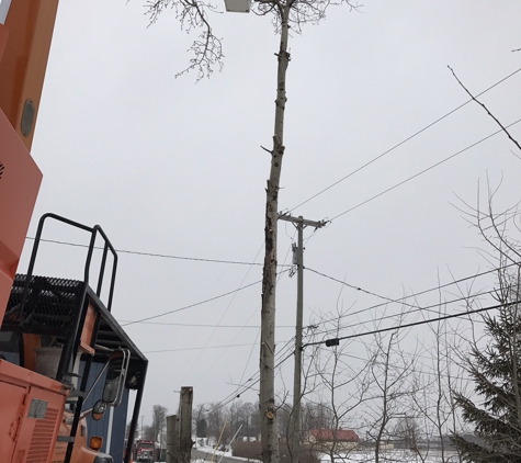 Apple Valley Tree Service - La Fayette, NY