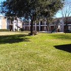 Palm Bluff Apartments