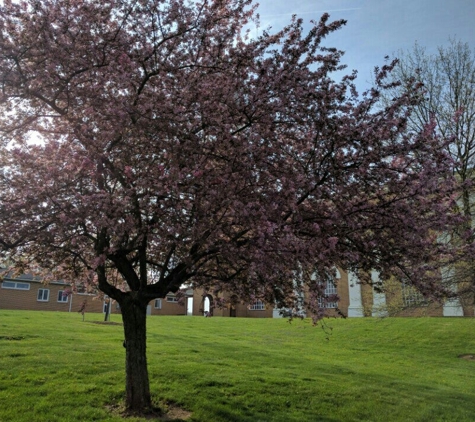 Immaculate Conception School - Annandale, NJ