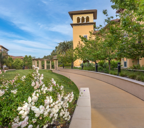 Aventino Apartments - Los Gatos, CA