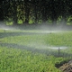 Spartan Irrigation