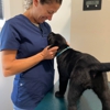 Paw Prints Veterinary Hospital gallery