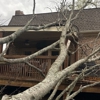 Tree Masters of Tennessee gallery