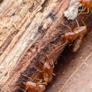 Wine Country Termite & Pest Control - Real Estate Inspection Service