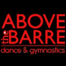 Above the Barre - Martial Arts Instruction