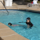 Frenchie's Swim School - Swimming Instruction