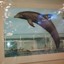 Dolphin Cove Research & Education Center - Tourist Information & Attractions