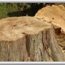 Finley's Tree Services - Stump Removal & Grinding