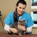 Sayrebrook Veterinary Hospital PA - Veterinarians