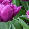 Leggett Patterson Funeral Home gallery