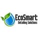 Eco Smart Detailing Solutions, Inc.