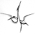 Brolga Counselling Logo