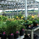 Shaner Avenue Nursery - Nurseries-Plants & Trees