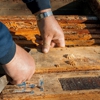 Guaranty Pest Elimination gallery