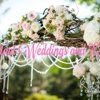 Radiant Weddings and Events gallery