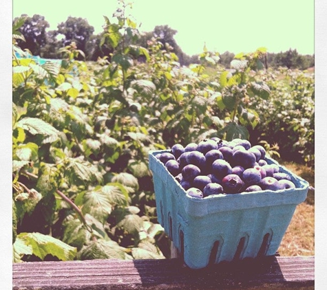 Jenkins & Lueken Orchard - New Paltz, NY