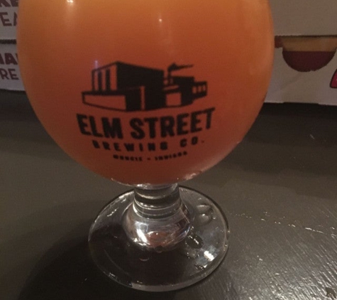 Elm Street Brewing Co. - Muncie, IN
