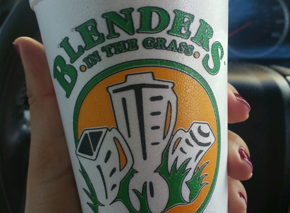 Blenders in the Grass - Ventura, CA