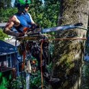 Eastside Tree Works - Tree Service