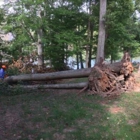 Alexandria Tree Services Unlimited