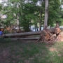 Alexandria Tree Services Unlimited