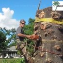 Gerard's Tree Service - Tree Service