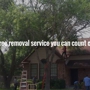 SA Quality Tree Service