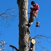 Ground Tech Tree Service gallery