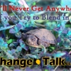 Change Talk LLC gallery