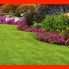 MJS Lawn care gallery